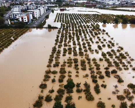 An aerial view of flooded residential areas and agricultural fields with trees emerging from lakes of brown water.