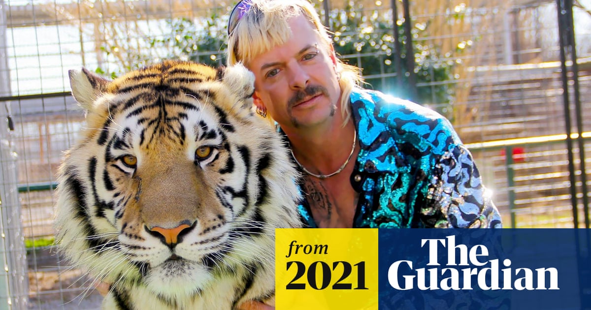 Is Big Cat Rescue Closing? Shocking Truth Revealed!