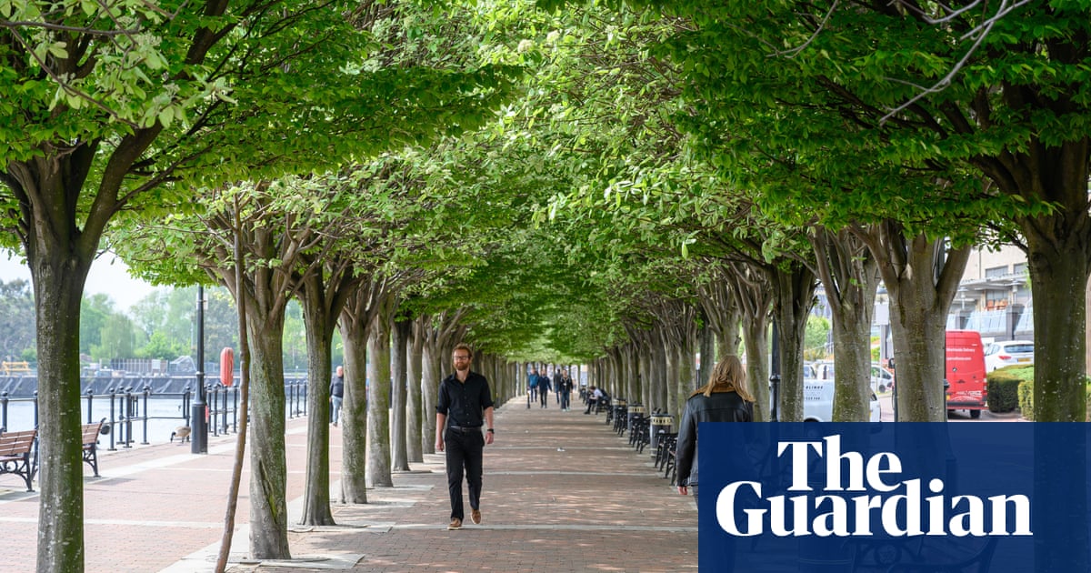 Planting more trees in cities could cut deaths from summer heat, says study