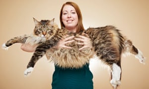 Ludo the Maine Coon with owner Kelsey Gill