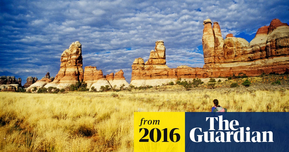 Graffiti Artist Banned From 20 Of Us After Reddit Users