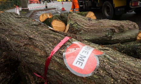A sign on a tree cut down by contractors in Rustlings Road, Sheffield