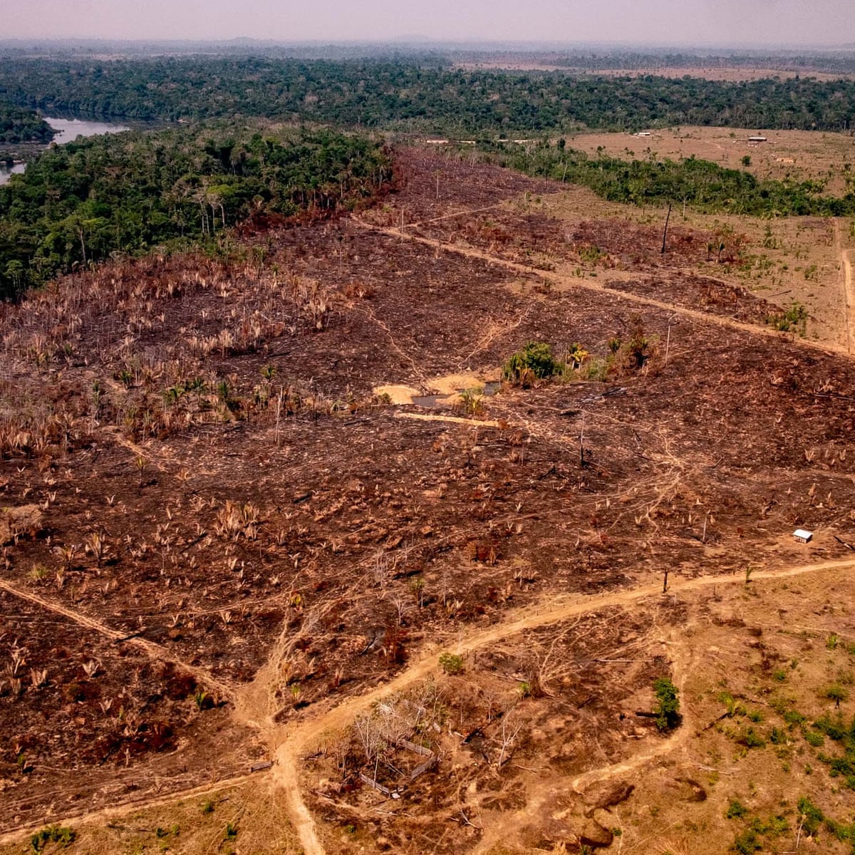 Вырубка лесов Амазонии. Уничтожение тропических лесов. Вырубка экваториальных лесов. Вырубленный лес. Amazon lost