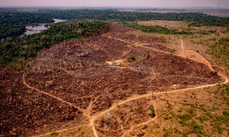 Deforestation in the Amazon basin in Colniza, Mato Grosso state, Brazil, on 29 August. 