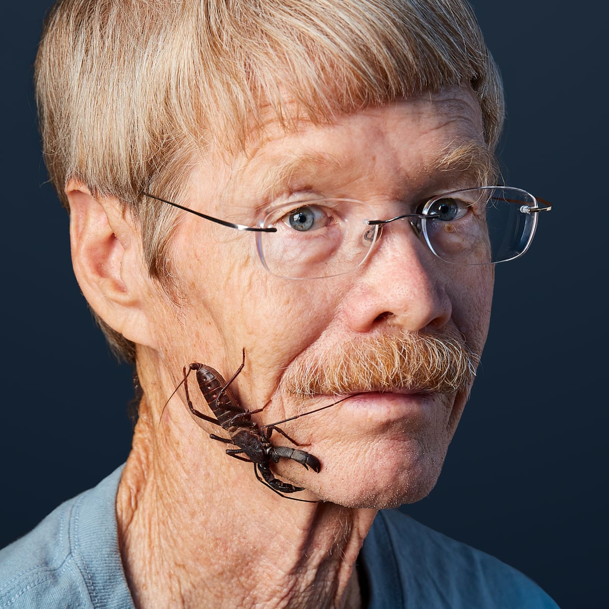 3761 What to Do If You Encounter a Bullet Ant