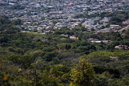 Elevated view of housing developments bordering an area of dense vegetation