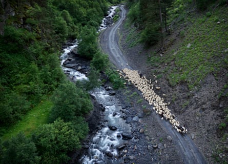 A shepherd leads his flock alongside a river near the village of Khiso.