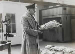 A sample of tobacco is inspected by a customs official at Royal Victoria Dock