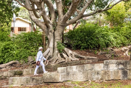 ‘I’m just overwhelmed with privilege, I can tell you.’