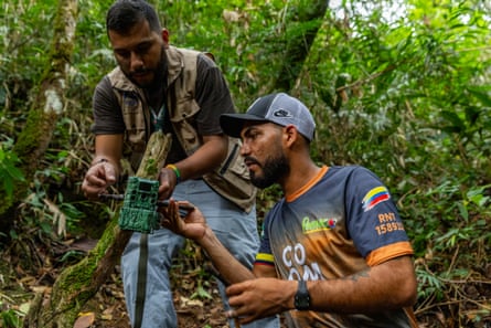 Two men attach a camera trap to a tree