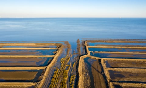Farmland disappears into Bohai Bay, northern China