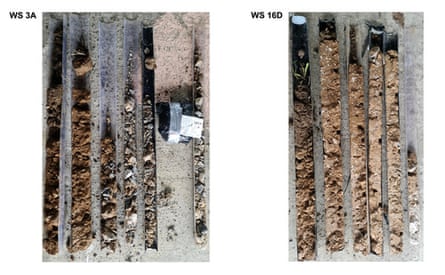 Samples of soil used to try to establish if the Durrington pit circle was made by humans