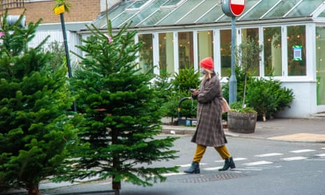 Christmas trees on sale in Battersea, London
