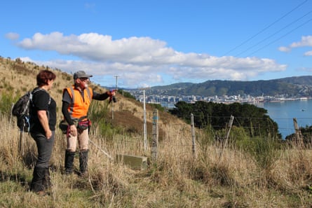Predator Free Miramar volunteers Sue Hope and Ross Findlay check a trap.
