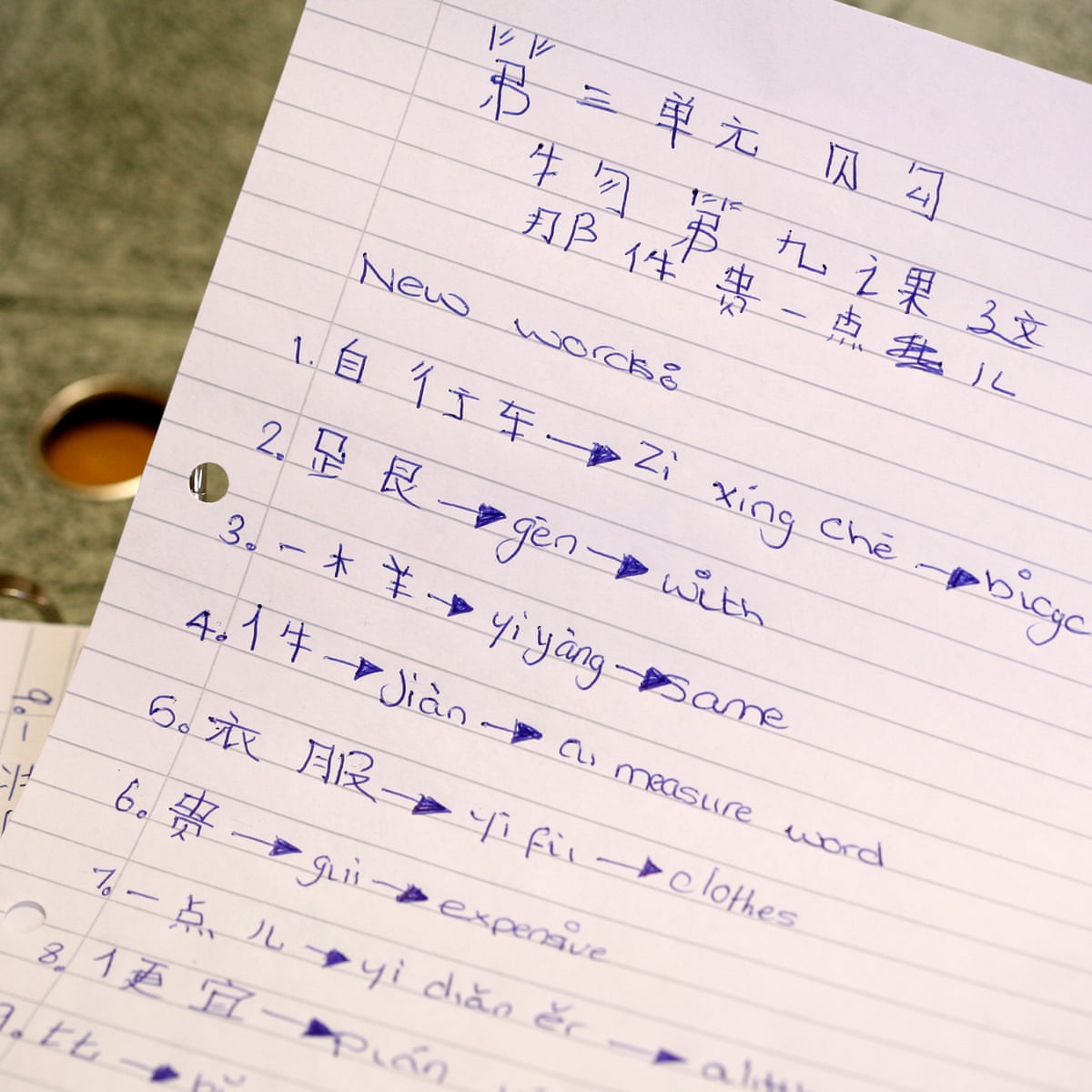 South African Teachers Oppose Plan To Offer Mandarin Lessons From