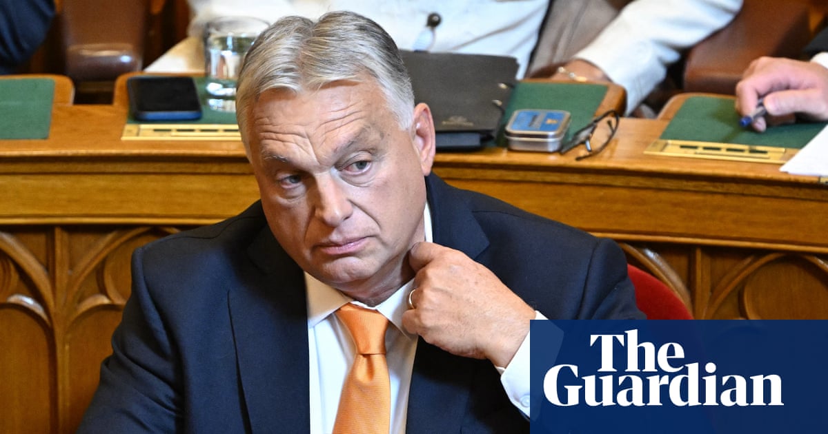 Viktor Orban faces toughest challenge in years but can Hungary's strongman be unseated?