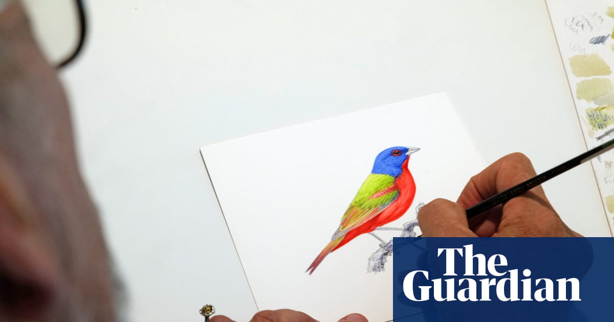 The ornithological artist drawing 1,000 birds by hand – all for an app that wants you off your phone