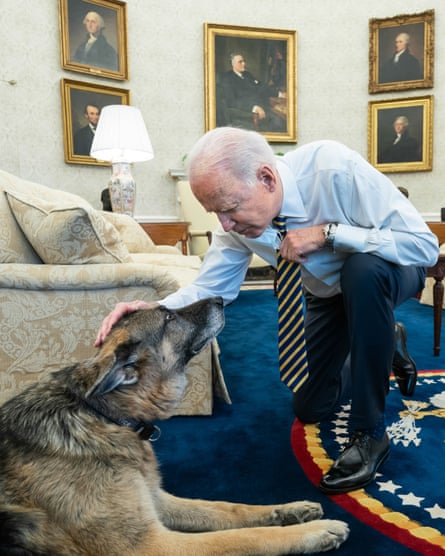 If the president can bring his dog to work, why not the rest of us?