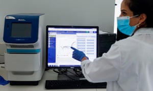 Israeli researcher Karin Yaniv at Ben Gurion university’s biotechnology engineering department.