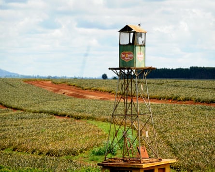 A tall watchtower looking out over fields