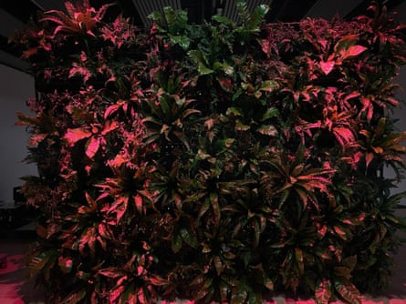 It’s alive … the plant side of Green Screen.