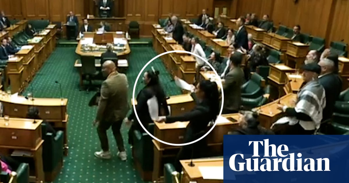 MP rips up bill, leads haka as NZ parliament erupts over Waitangi treaty bill - video