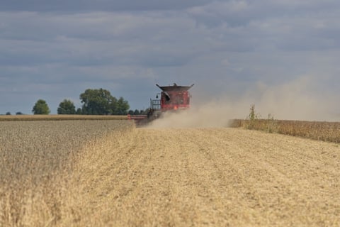 Uma colheitadeira CASE IH avança em um campo de soja