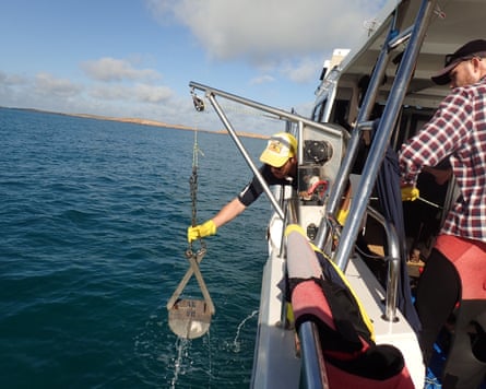 Campioni di sedimenti raccolti durante una gita alle isole Montebello nel 2020.