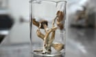 Magic mushroom use grows in England and Wales, ONS figures show