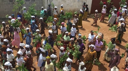 A crowd of women wearing white head wraps and holding branches walk down a street.
