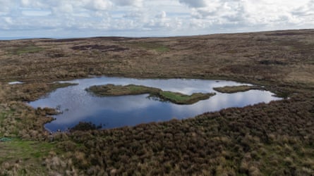 Low water level at a pond