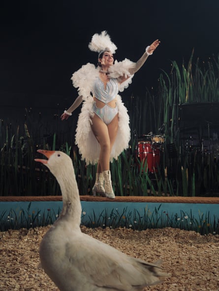 A woman on the edge of the ring in a white feathered costume, with a white goose in the foreground