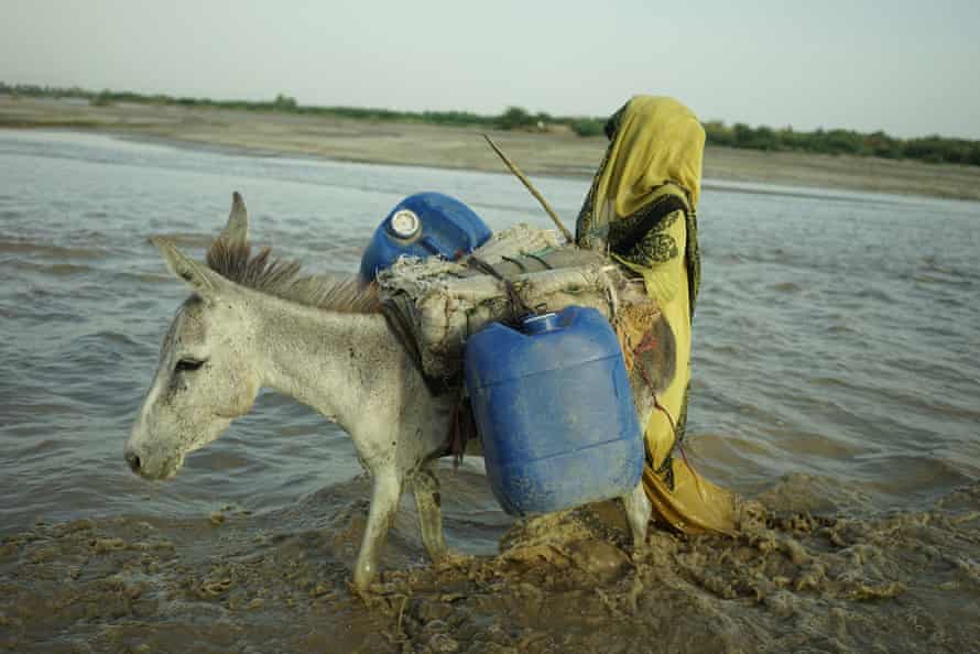 A woman walks a donkey with two water cannisters strapped to its back.
