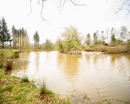 Beaver pond on Broadridge Farm