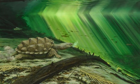An artist’s reconstruction of the fossil turtle Platychelys oberndorferi, rapidly projecting its head forward to capture a fish.