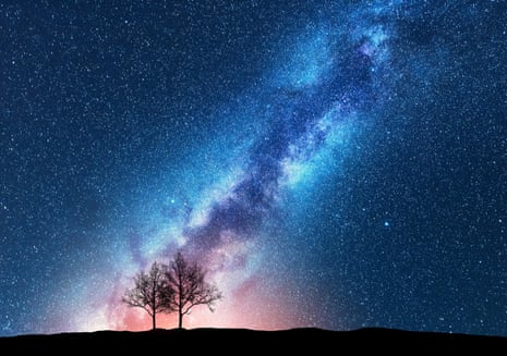 Night landscape with alone trees on the hill and colorful bright milky way.