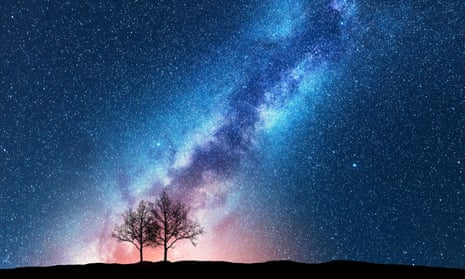 Trees against a starry sky with Milky Way.
