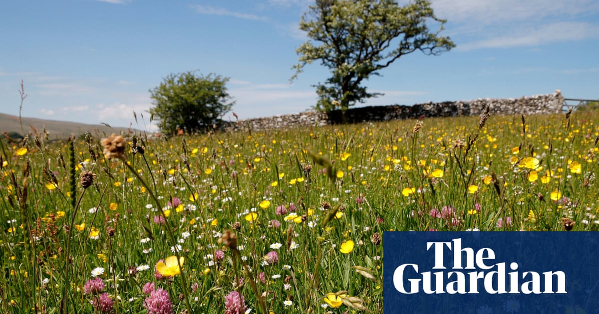 Wildlife charities raise £8m to boost nature schemes across England and Wales