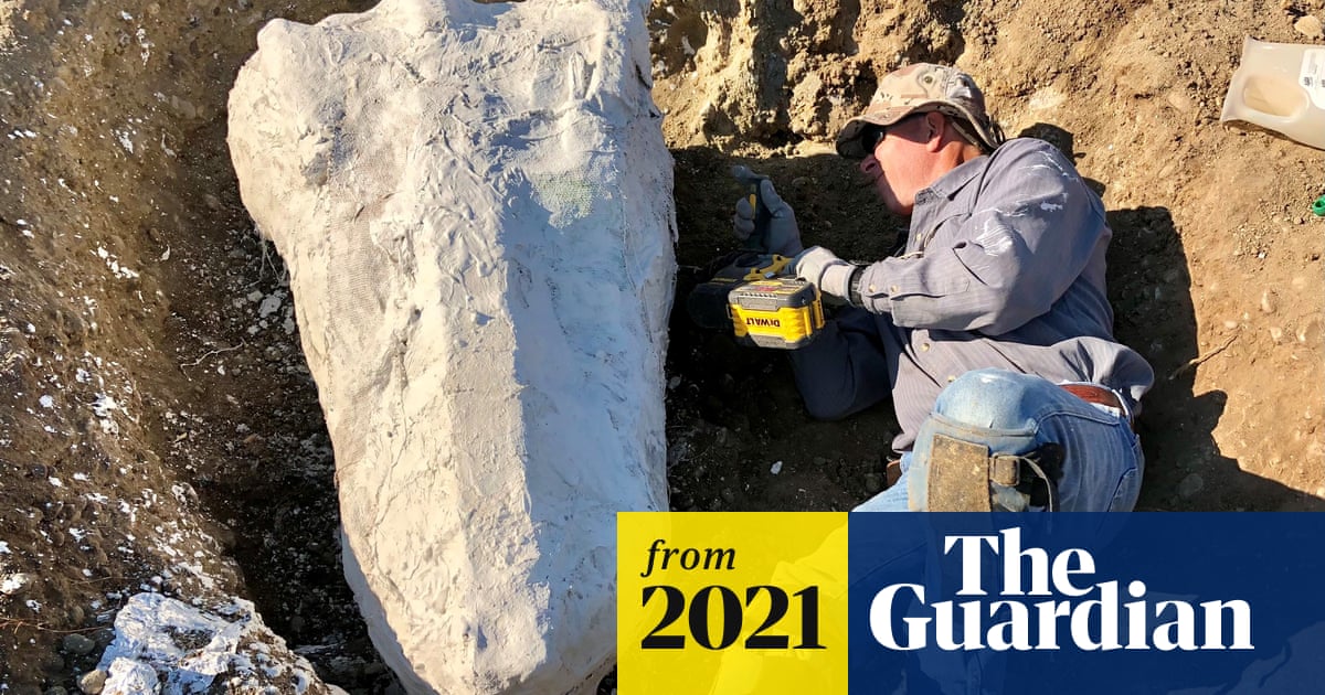 Found Rocks California How a ranger stumbled upon one of the largest fossil finds in ...