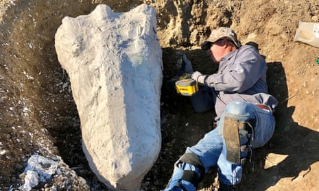 Ranger Greg Francek uncovers a gomphothere fossil.