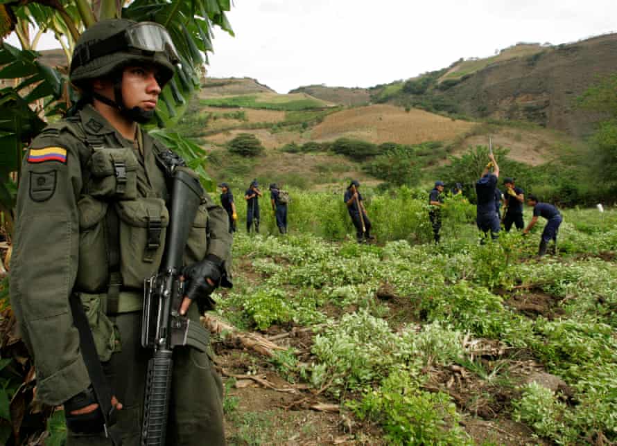 An anti-drugs officer guards workers as they destroy coca-leaf plantations in Nariño province, Colombia.