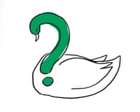 An illustration of a swan