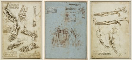 The bones of the foot and shoulder, studies of the heart and pulmonary vessels of an ox and the veins and muscles of the arm drawn by Leonardo da Vinci.