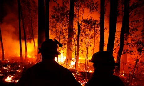 Beauty mogul under fire about Australia wildfire posts