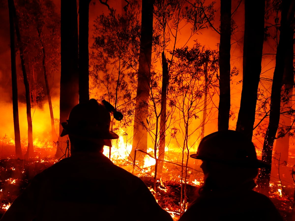 Australian Bushfires The Canary Building The Coal Mine Environment All Topics From Climate Change To Conservation Dw 10 01 2020