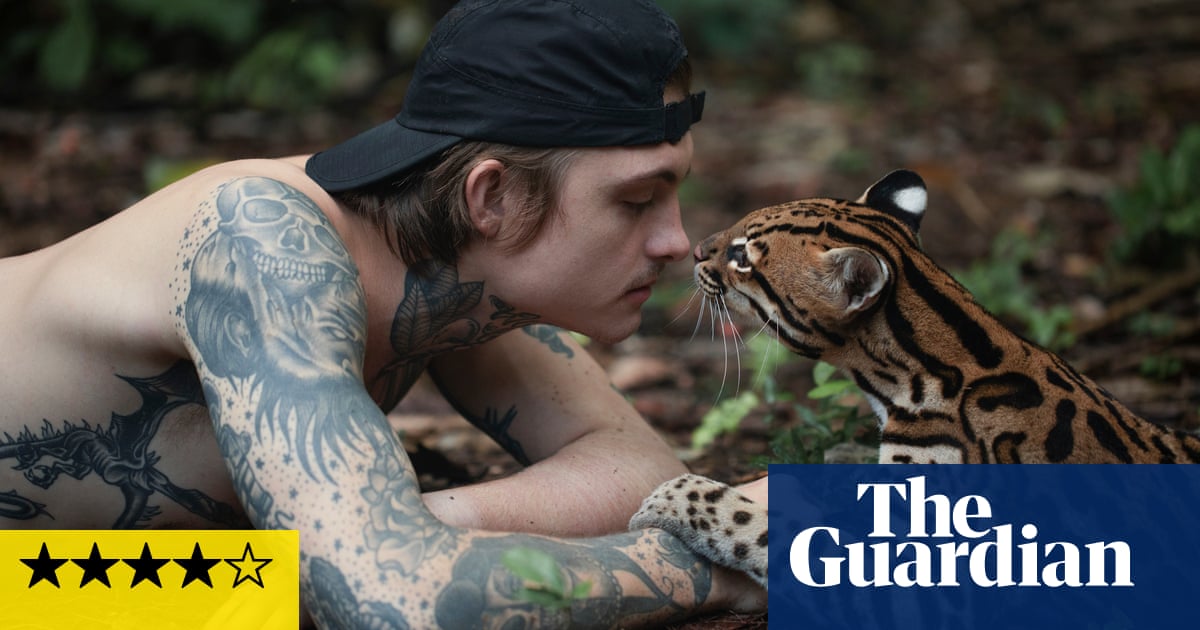 Wildcat review – heartfelt redemption story for human and ocelot