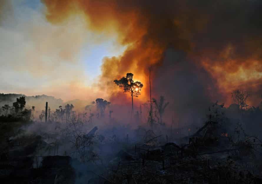 Smoke rises from an illegally lit fire in Amazon rainforest reserve, south of Novo Progresso in Para state, Brazil.