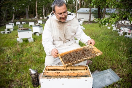 David Yanke, of Daykel Apiaries, checking his hives
