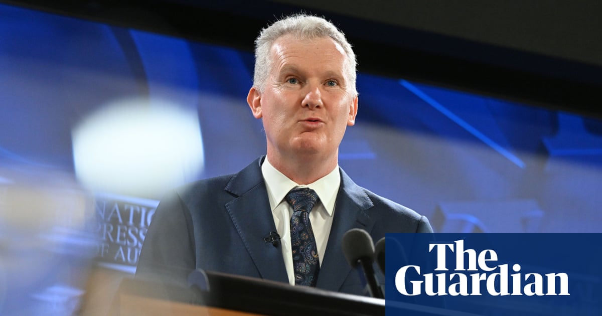 Workplace reforms back on agenda when parliament returns next week, Tony Burke says