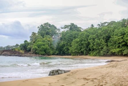 A sandy beach with waves lapping against the beach, with a forest in the background